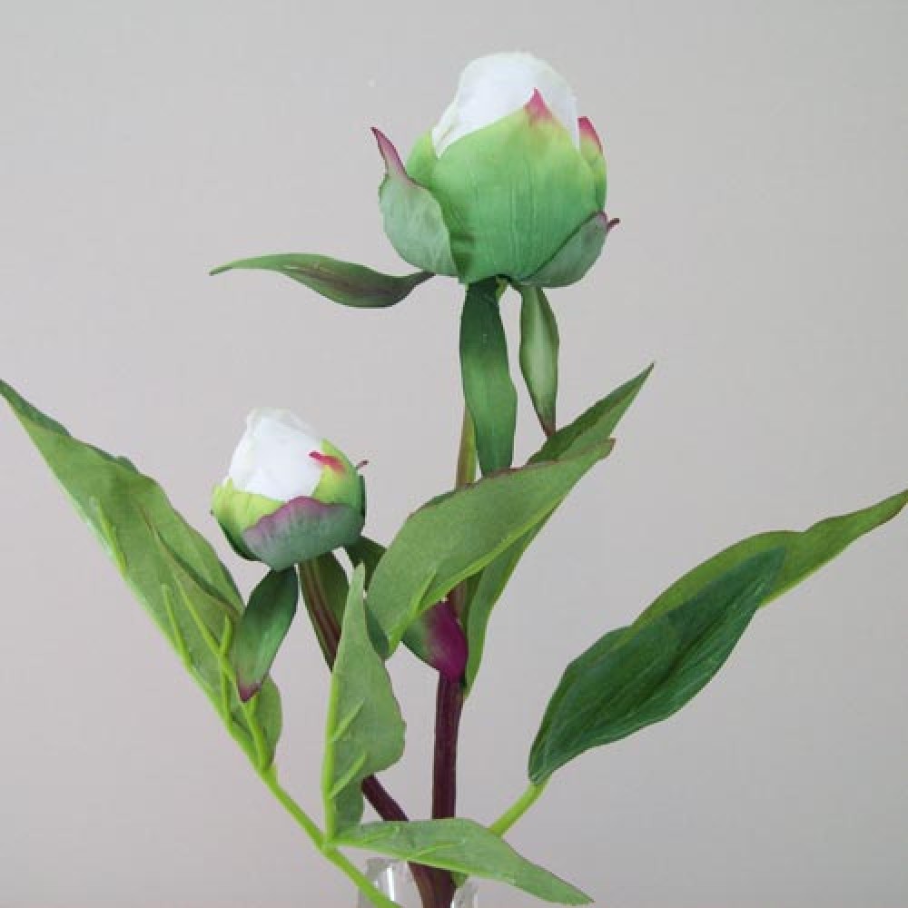 Real Touch Peony Buds Cream 48cm Artificial Flowers